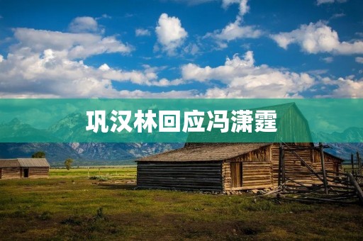巩汉林回应冯潇霆:捍卫尊严,言辞犀利 巩汉林回应冯潇霆:捍卫尊严,言辞犀利
