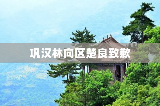 巩汉林向区楚良致歉:一次道歉的背后故事 巩汉林向区楚良致歉:一次道歉的背后故事