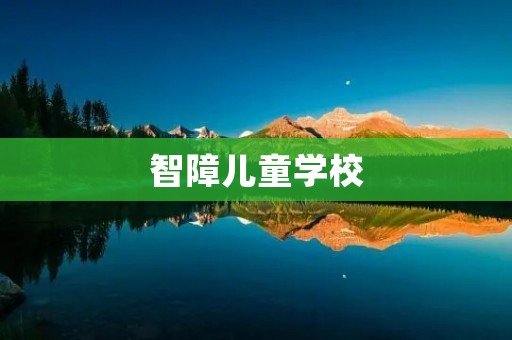 智障儿童学校:为智障儿童敞开智慧之门