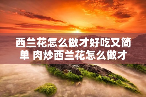 西兰花怎么做才好吃又简单 肉炒西兰花怎么做才好吃又简单