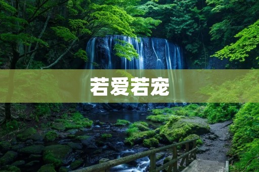 若爱若宠:探寻爱情中的权衡与平衡