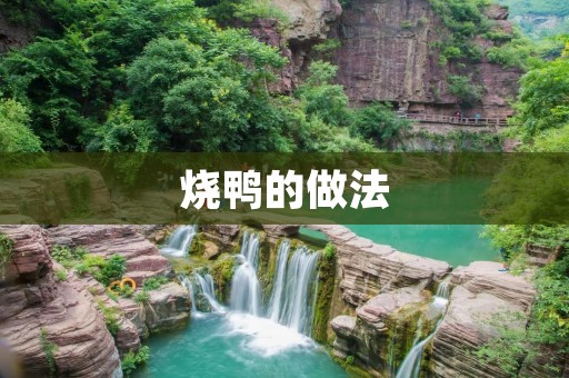 烧鸭的做法：口感鲜嫩，香气四溢