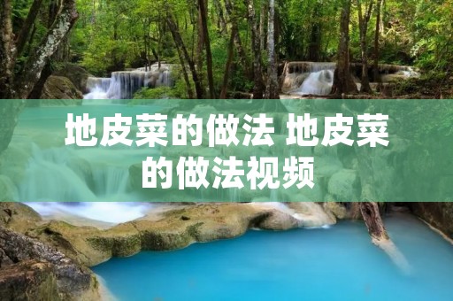 地皮菜的做法 地皮菜的做法视频