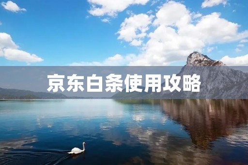 京东白条使用攻略:轻松了解如何正确使用京东白条