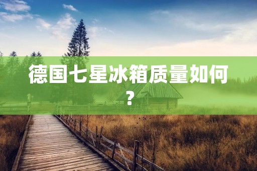 德国七星冰箱质量如何？