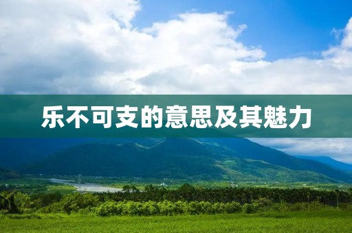 乐不可支的意思及其魅力