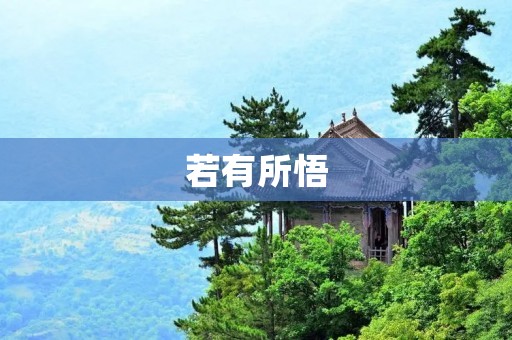 若有所悟:探索心灵的智慧之旅