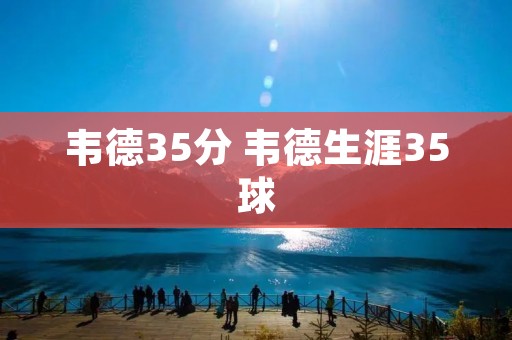 韦德35分 韦德生涯35球