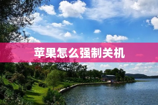 苹果怎么强制关机