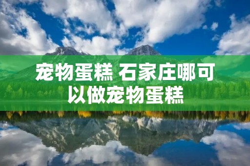 宠物蛋糕 石家庄哪可以做宠物蛋糕