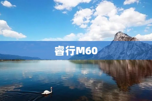 睿行M60:领航未来的智能出行利器 睿行M60:领航未来的智能出行利器
