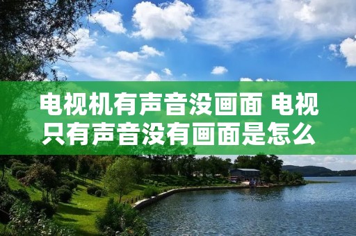 电视机有声音没画面 电视只有声音没有画面是怎么回事 电视机有声音没画面 电视只有声音没有画面是怎么回事