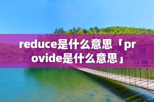 reduce是什么意思「provide是什么意思」