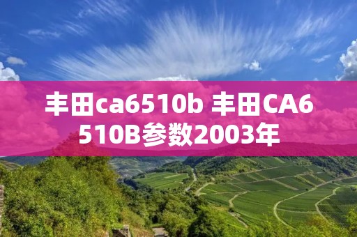 丰田ca6510b 丰田CA6510B参数2003年