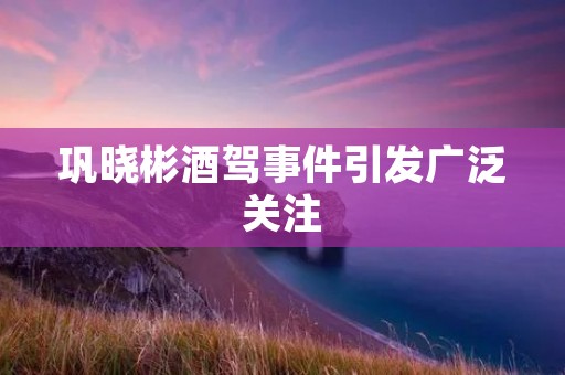巩晓彬酒驾事件引发广泛关注 巩晓彬酒驾事件引发广泛关注