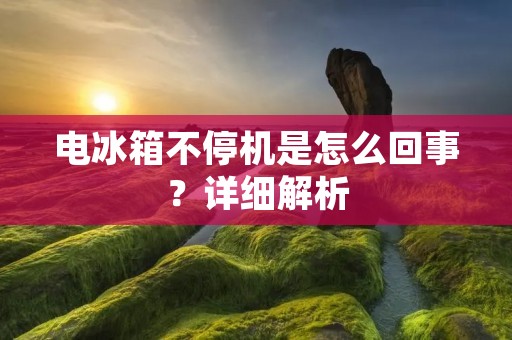 电冰箱不停机是怎么回事？详细解析