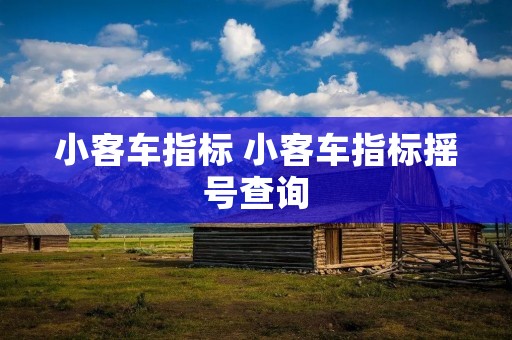 小客车指标 小客车指标摇号查询