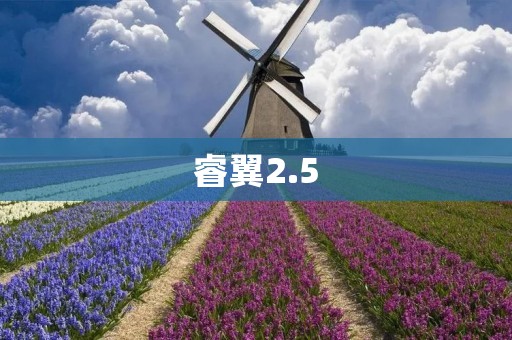 睿翼2.5:引领智能时代的创新之作 睿翼2.5:引领智能时代的创新之作