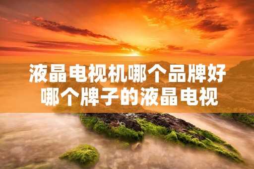 液晶电视机哪个品牌好 哪个牌子的液晶电视机质量好 液晶电视机哪个品牌好 哪个牌子的液晶电视机质量好