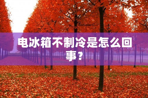 电冰箱不制冷是怎么回事？