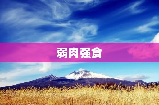 弱肉强食:生存法则的残酷现实