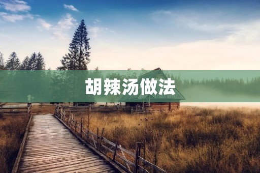 胡辣汤做法：一碗醇香暖胃的美味佳肴
