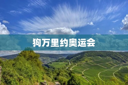狗万里约奥运会：精彩赛事与历史时刻