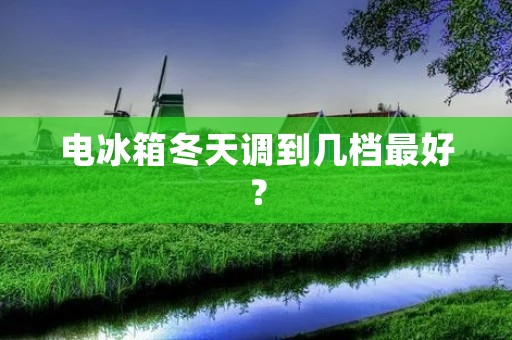 电冰箱冬天调到几档最好? 电冰箱冬天调到几档最好?