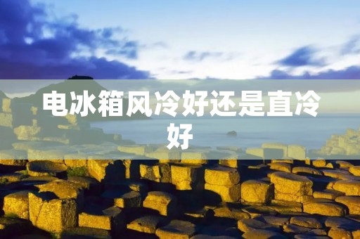 电冰箱风冷好还是直冷好 电冰箱风冷好还是直冷好