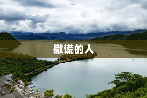 撒谎的人：探寻真相的背后