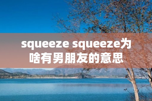 squeeze squeeze为啥有男朋友的意思