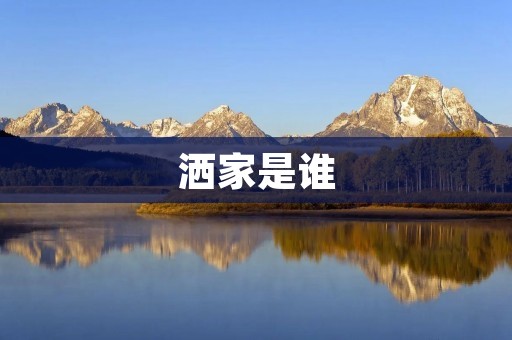 洒家是谁：一个独特的灵魂