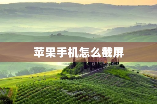 苹果手机怎么截屏