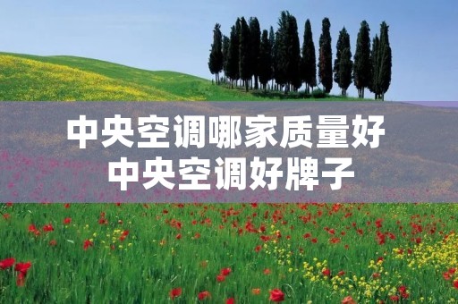 中央空调哪家质量好 中央空调好牌子