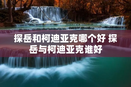 探岳和柯迪亚克哪个好 探岳与柯迪亚克谁好