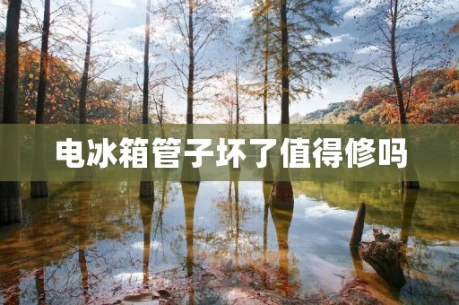 电冰箱管子坏了值得修吗