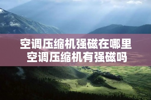 空调压缩机强磁在哪里 空调压缩机有强磁吗 空调压缩机强磁在哪里 空调压缩机有强磁吗