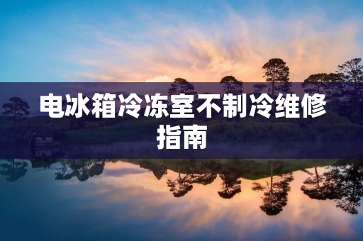 电冰箱冷冻室不制冷维修指南
