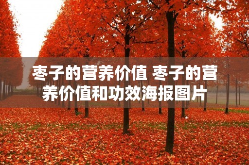 枣子的营养价值 枣子的营养价值和功效海报图片