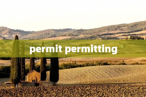 permit permitting