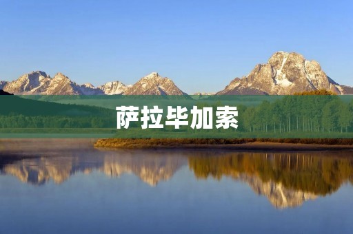 萨拉毕加索：探索艺术与疯狂的边界