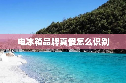 电冰箱品牌真假怎么识别