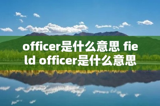 officer是什么意思 field officer是什么意思