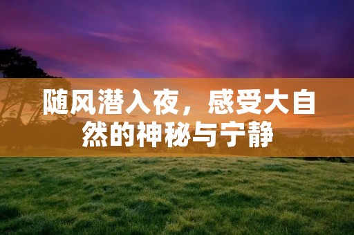 随风潜入夜,感受大自然的神秘与宁静