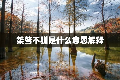 桀骜不驯是什么意思解释