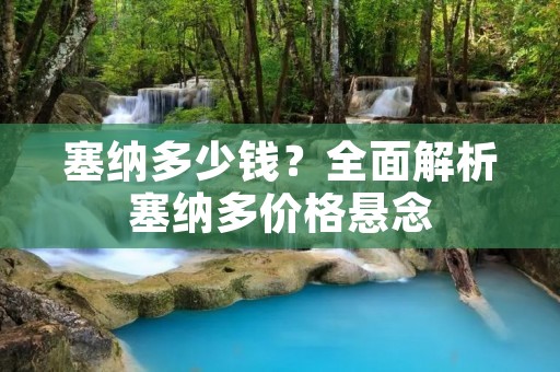 塞纳多少钱?全面解析塞纳多价格悬念 塞纳多少钱?全面解析塞纳多价格悬念