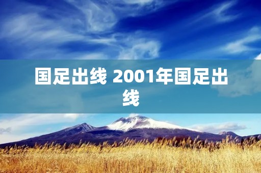 国足出线 2001年国足出线