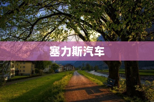 塞力斯汽车：豪华与性能的完美结合