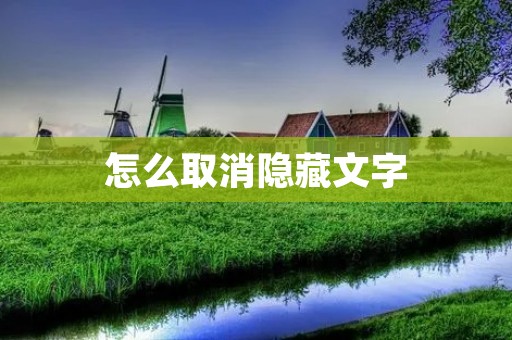 怎么取消隐藏文字