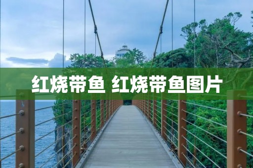 红烧带鱼 红烧带鱼图片